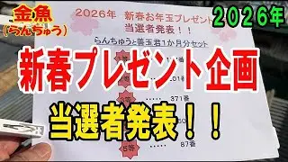 らんちゅう（金魚）ブリーダーの飼育記録No.339：新春プレゼント企画！当選者発表！！