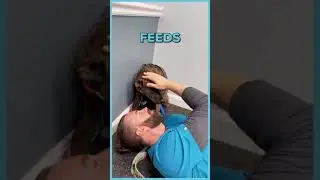 Vet Magic: Scared Dog Overcomes Fear With Gentle Care 🥰 - WorldBeAmazed