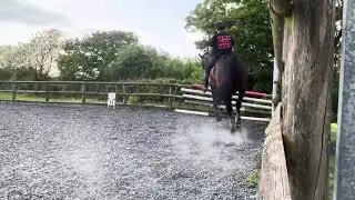 Eriders online dressage Medium 5a