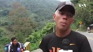 Columbian Paramilitary Forces Conduct illegal Activities on The Western Border States of Venezuela