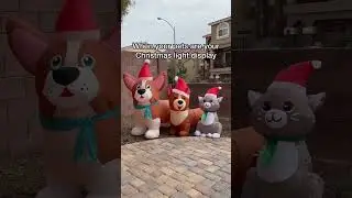 Dogs become Christmas decorations!