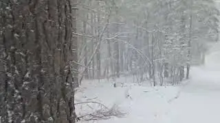 First snow of 2026 in high elevation area of Prescott