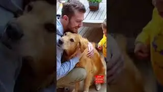 Dog Protects Human from Wild Snake Just in Time | Incredible Hero Dog Moment #animal  #funny #dog