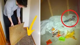 Boys Find Staircase Leading To Room Hidden Behind a Bookcase in Their House, Then Things Get Weird