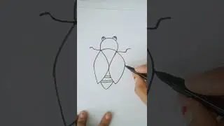 Insect drawing | W word drawing | #shorts