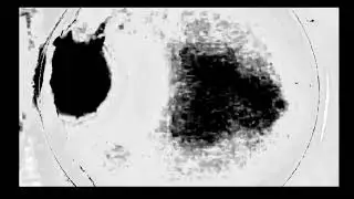 nibiru?!