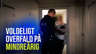 Politieleverne (8:10) | Voldeligt overfald p&aring; mindre&aring;rig