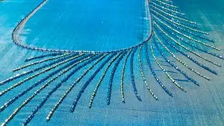 Easy bead embroidery