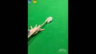 Ever play billiards? Seen aball this obedient?  Who&rsquo;s got this kind ofskill?打撞球嗎？看過這聽話的球嗎？誰有這手絕活#pet