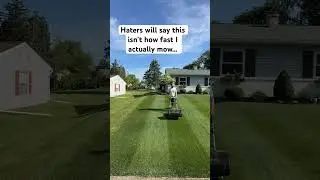 #lawn #stripes #diy #oddlysatisfying #lawntips #satisfying #beforeandafter #grass #lawncare