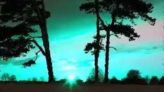 Robin Guthrie - Autochromes