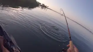 End of Summer Kayak Fishing (Catch Clean Cook)  betterboat.com endorsed #fishing #subscribe #nature