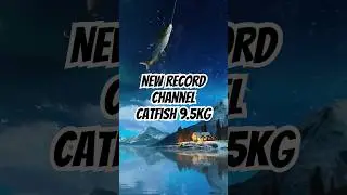 🎣 NEW RECORD! Channel Catfish 9.5KG | Relax Fishing Game #FishingGame #ChannelCatfish #NewRecord