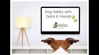 Dog Safety with Delta and Friends