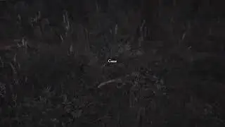 Blair Witch Ps4
