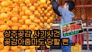 30년차 곶감 판매자가 알려주는 