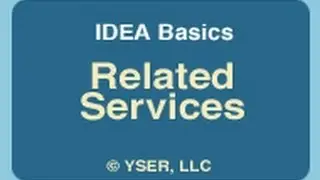 Основы IDEA: сопутствующие услуги