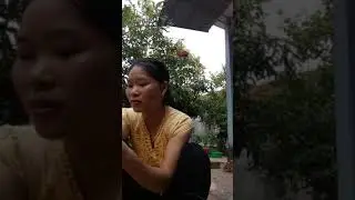 Teach you how to take care of roses without powdery mildew #1