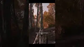 Флик | Hunt Showdown #shorts