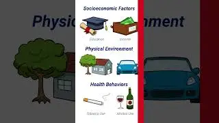 Voter Health Factors