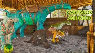 Summer Bash Colors Are Amazing! In Ark Ascended Vanilla Ragnarok ep 9