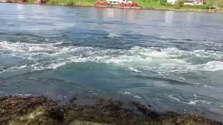 Padling i Straumen (Inder&oslash;y) med danske venner