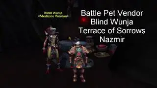 Battle Pet Vendor Blind Wunja -Terrace of Sorrows, Nazmir