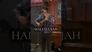 &ldquo;Hallelujah&rdquo; from tonight in New Hope, PA #hallelujah #cover #jeffbuckley #livemusic
