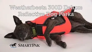 Weatherbeeta 300D Deluxe Reflective Dog Parka Review