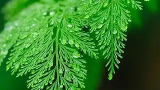 Beautiful nature wallpaper @mkfashionworld