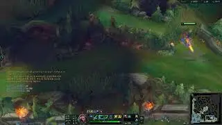 새해 방송