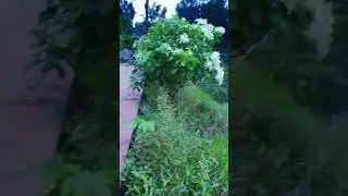 😊😇😊😇😊