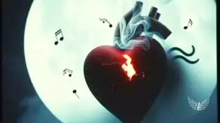 My Trauma 
