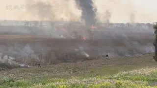 春告げる壮大な炎　渡良瀬遊水地でヨシ焼き