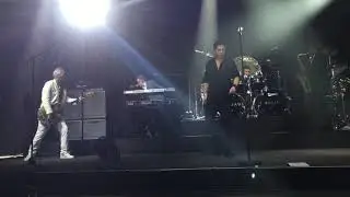 Highly Strung- Spandau Ballet Ross William Wild