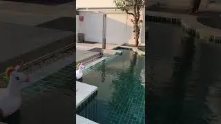 Luxury life in Thailand