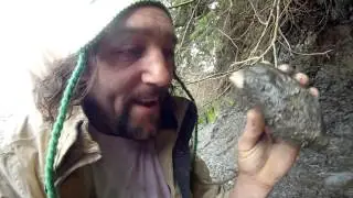 Skippy Finds A Freaky Hornby Island Amolick Gem Ammonite