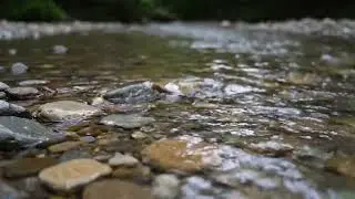 Flowing Water Sounds for Deep Sleep &mdash; Peaceful Ambient Music, Stress Relief & Meditation