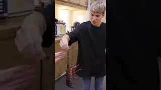 i went to a catch your own fish restaurant in japan #shorts
