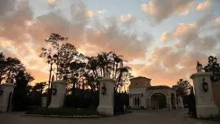 Disneys Golden Oak