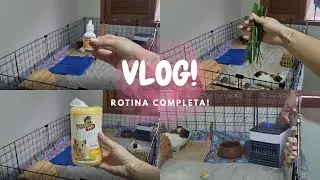 ROTINA COMPLETA | VLOG: limpeza do cercado com ar condicionado portátil e muito mais!