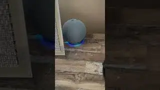 Alexa dice palabrotas