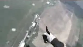 skydiving mouse