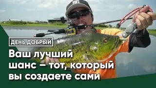 Ваш лучший шанс &ndash; тот, который вы создаете сами #live #online #психология