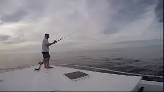 Baiting a Marlin in Magdalena Bay - Marlin Fishing 101