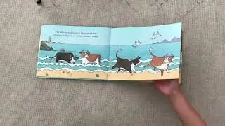Noni the pony goes to the beach