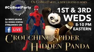 Crouching Spider Hidden Panda 2 - Salsa On Vinyl - CoBeatParty Day 249
