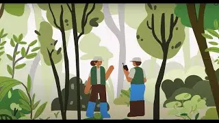 Supporting Forests and Communities in the Greater Mekong | WWF and IKEA partnership