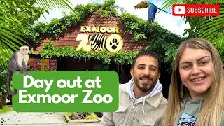 Date Day at Exmoor Zoo | Turkish Husband&rsquo;s First UK Zoo Experience 🦁🐵 | October 2024