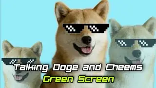 Doge and Cheems Talking Green Screen